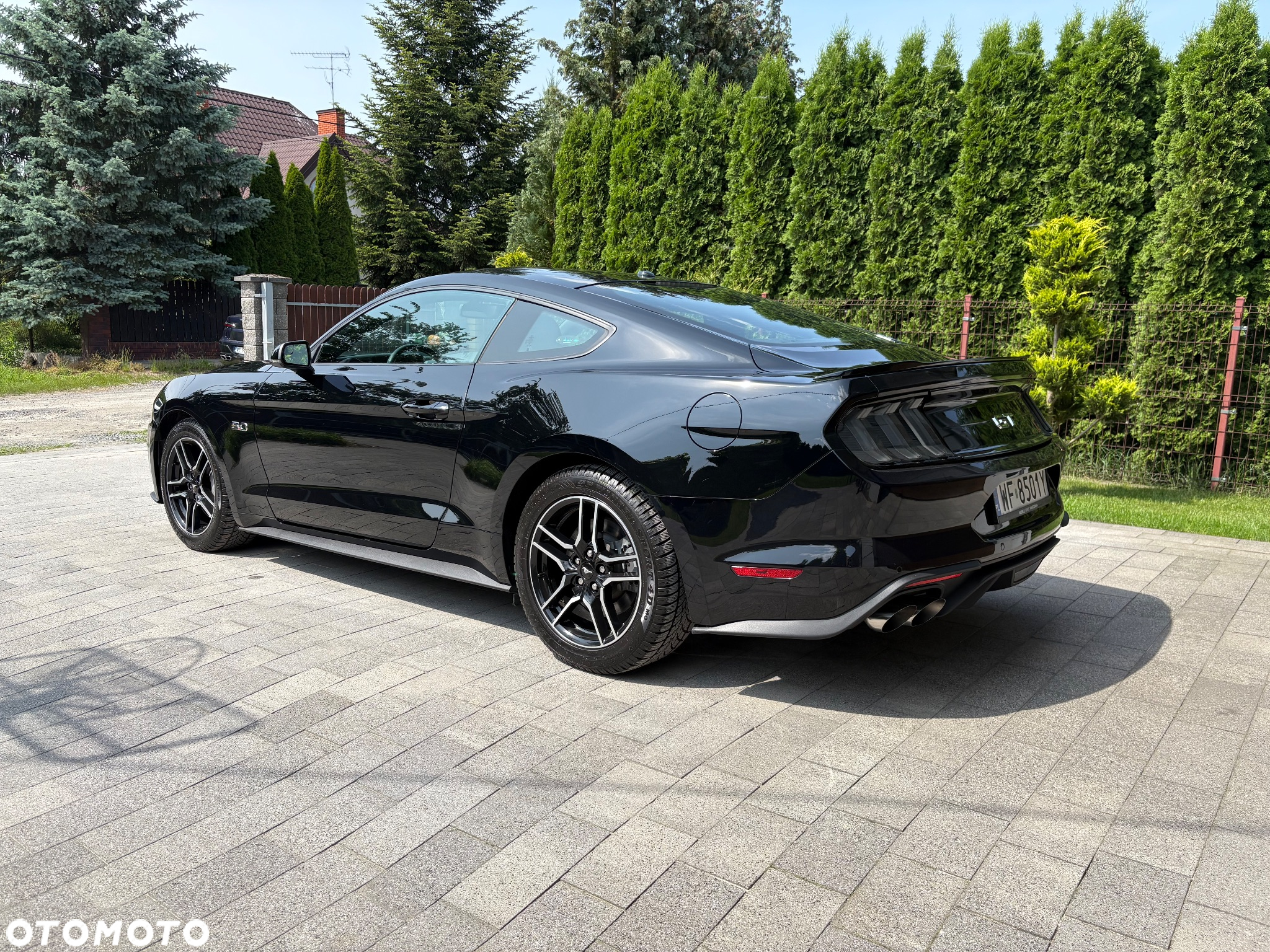 Ford Mustang Fastback 5.0 Ti-VCT V8 MACH1 - 4