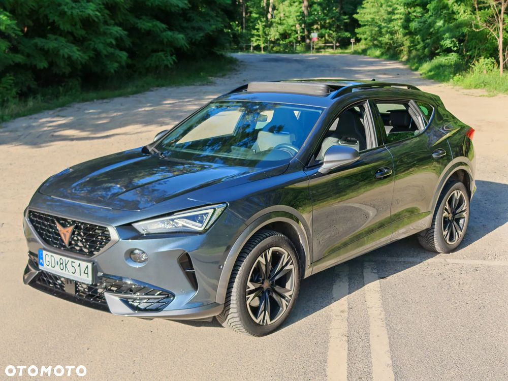 Cupra Formentor - 29