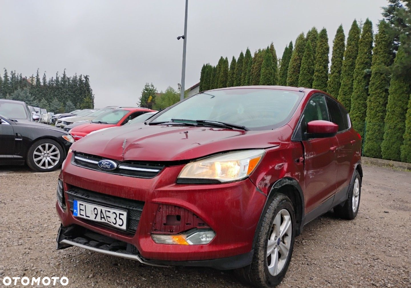 Ford Escape - 3