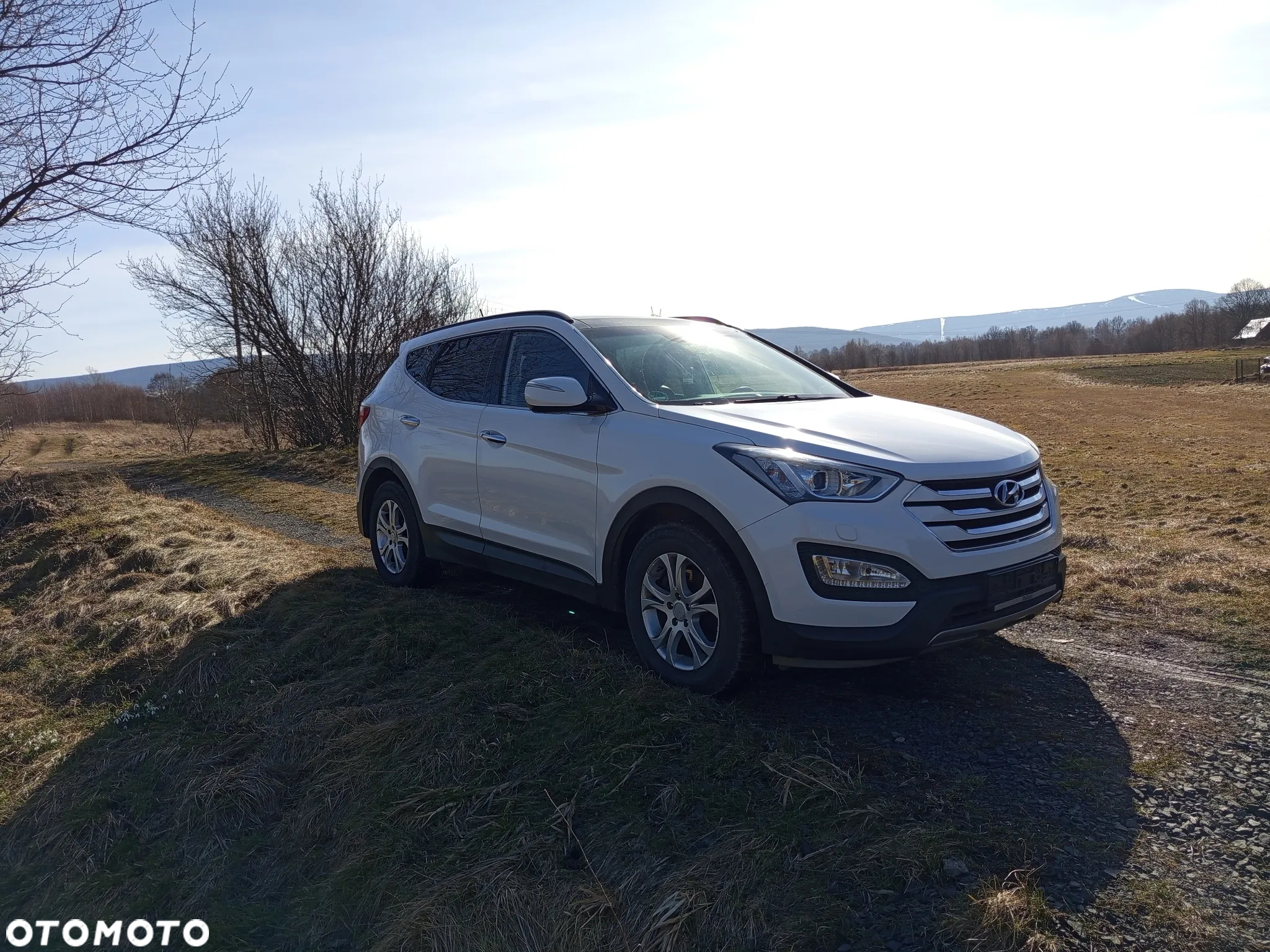 Hyundai Santa Fe 2.2 CRDi 2WD Style - 10