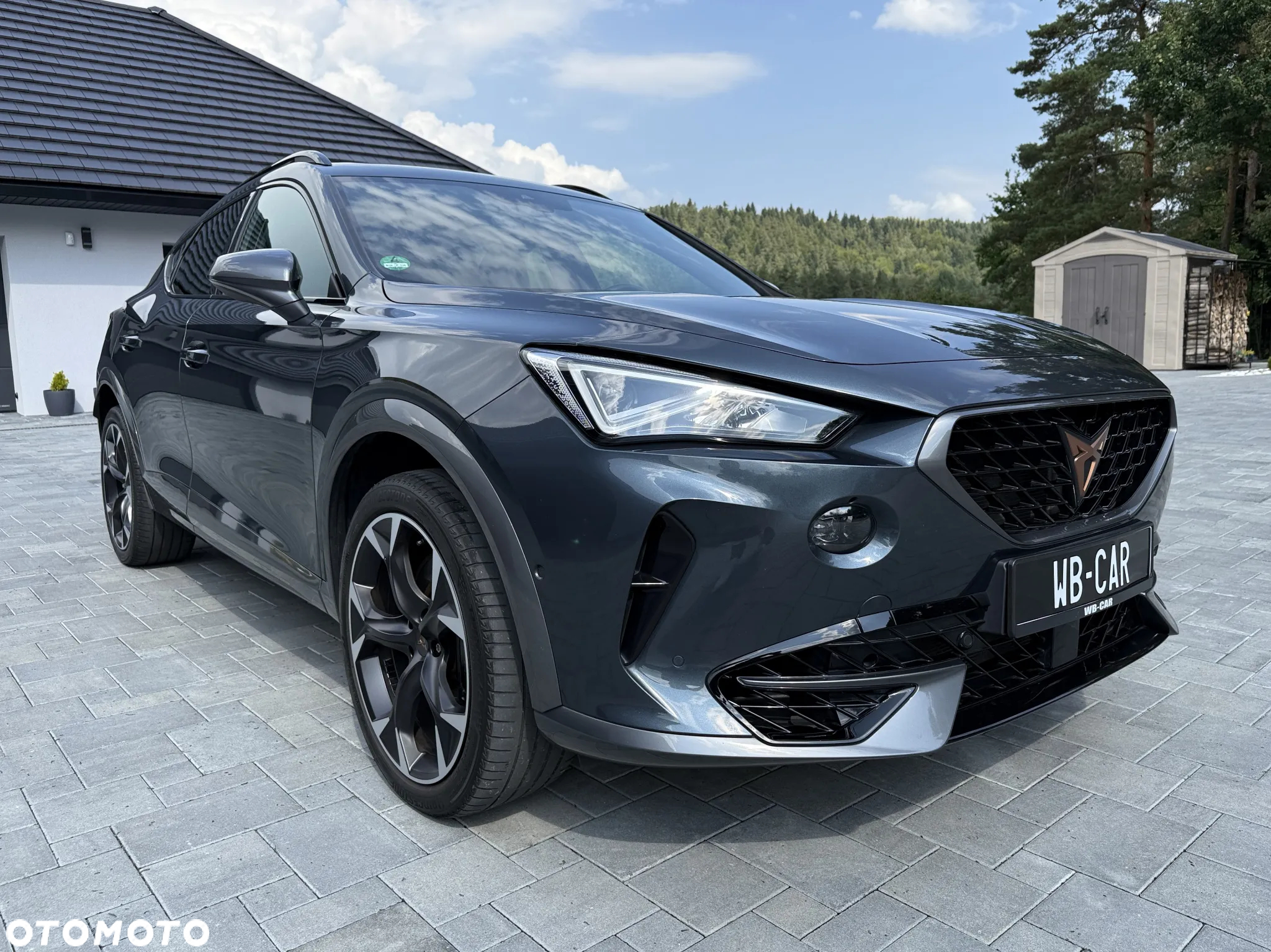 Cupra Formentor VZ 2.0 TSI 4Drive DSG - 12