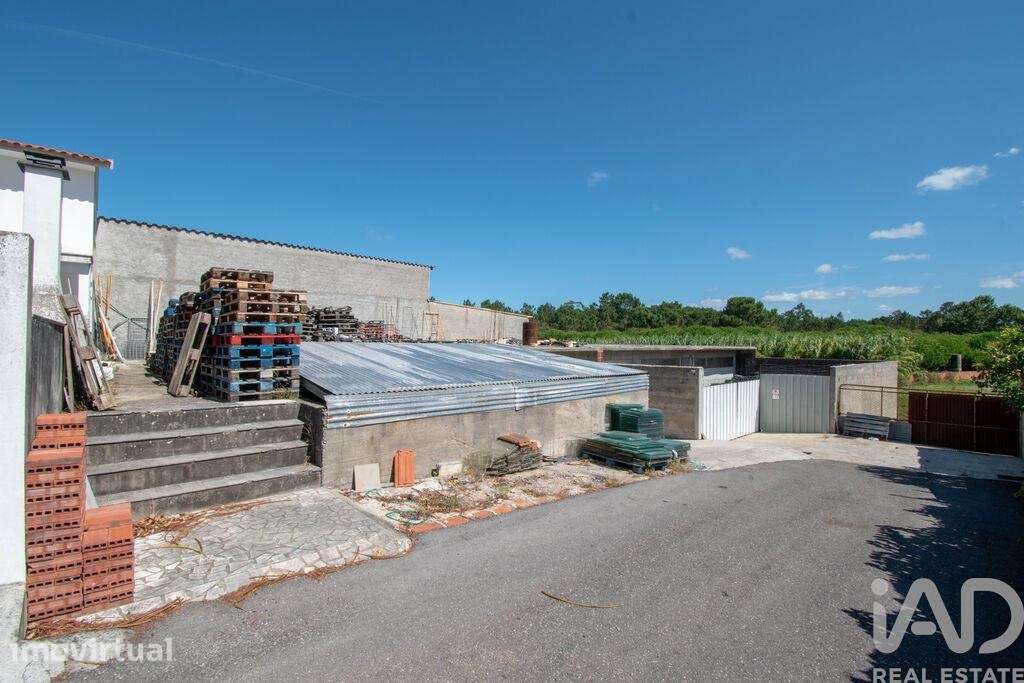 Terreno Agrícola em Marinha Grande - Grande imagem: 3/6