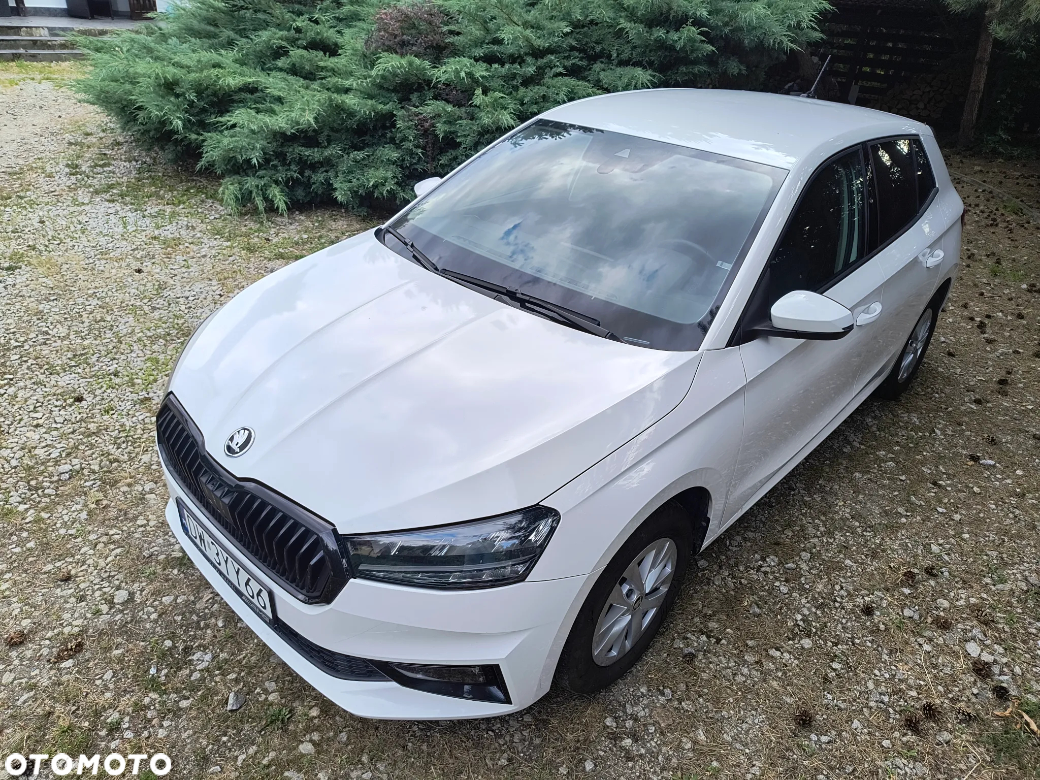 Skoda Fabia 1.0 TSI Ambition - 2