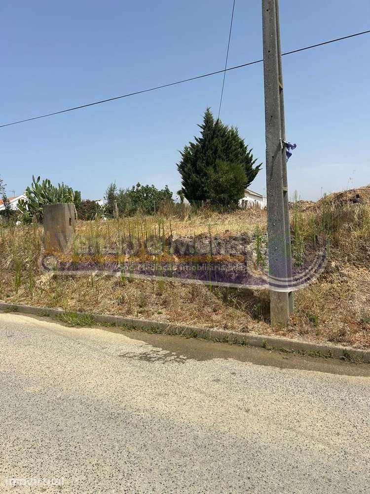 Terreno na Barrosa (BARR011) - Grande imagem: 5/6