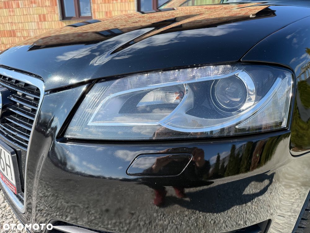 Audi A3 3-drzwiowe - 13