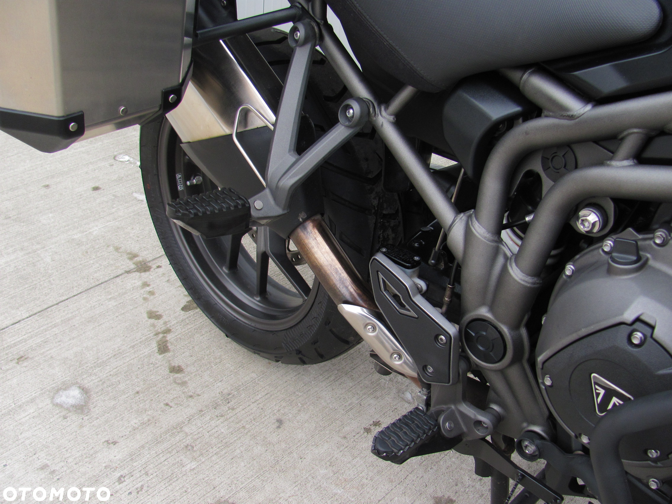 Triumph Tiger - 5