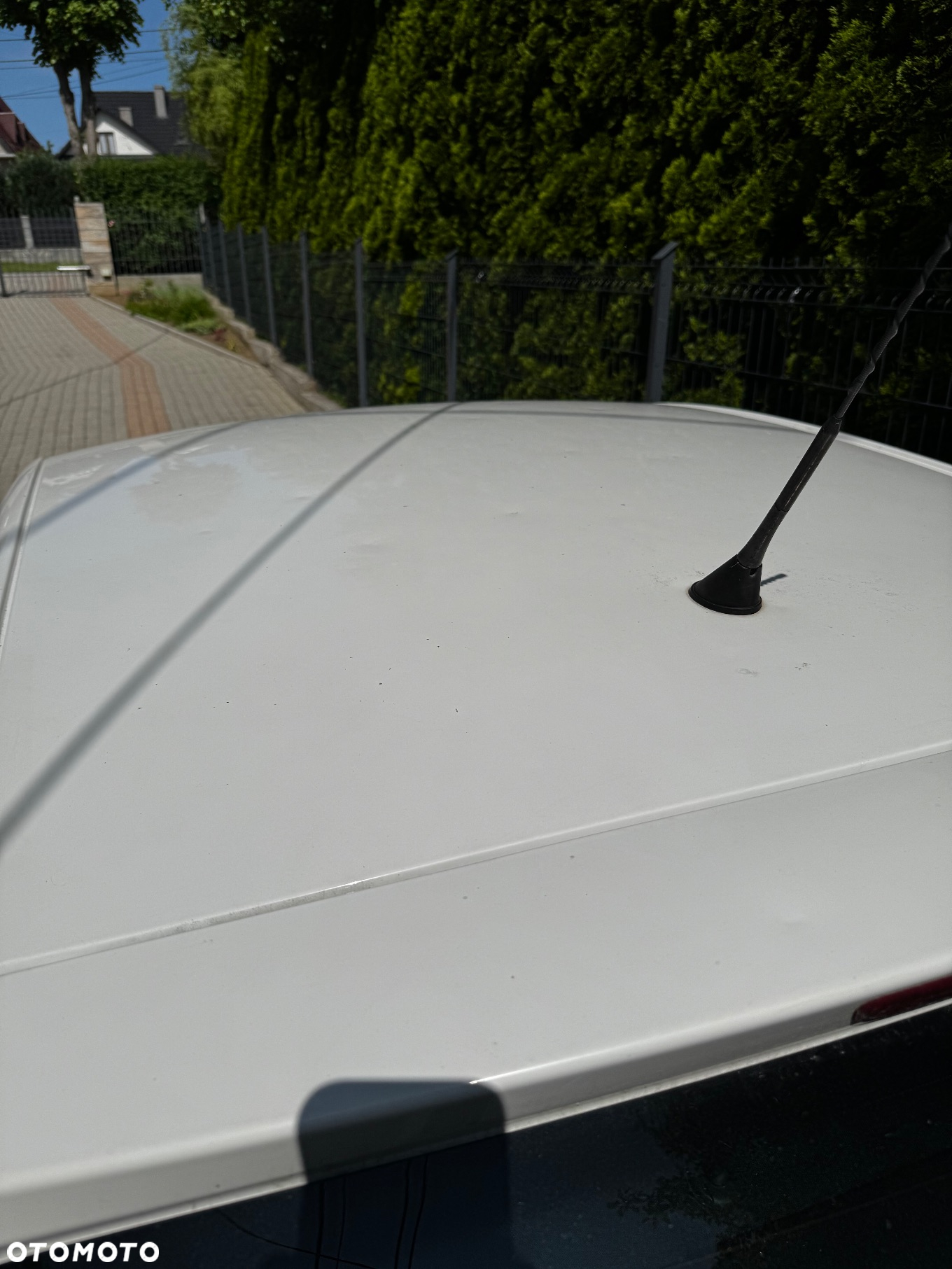 Seat Ibiza - 20