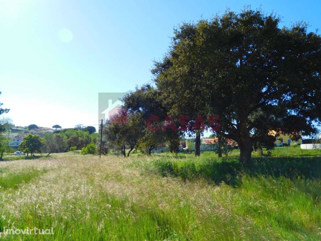 Terreno localizado perto da lagoa de obidos - Grande imagem: 3/14