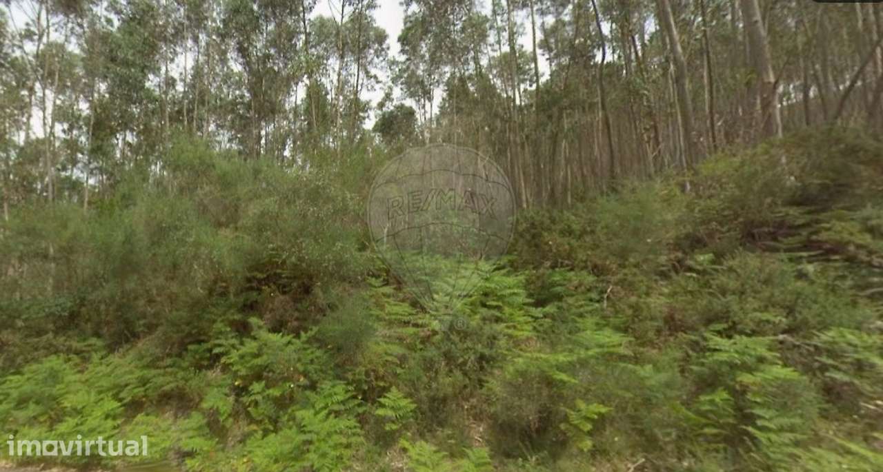 Terreno  para venda - Grande imagem: 2/3