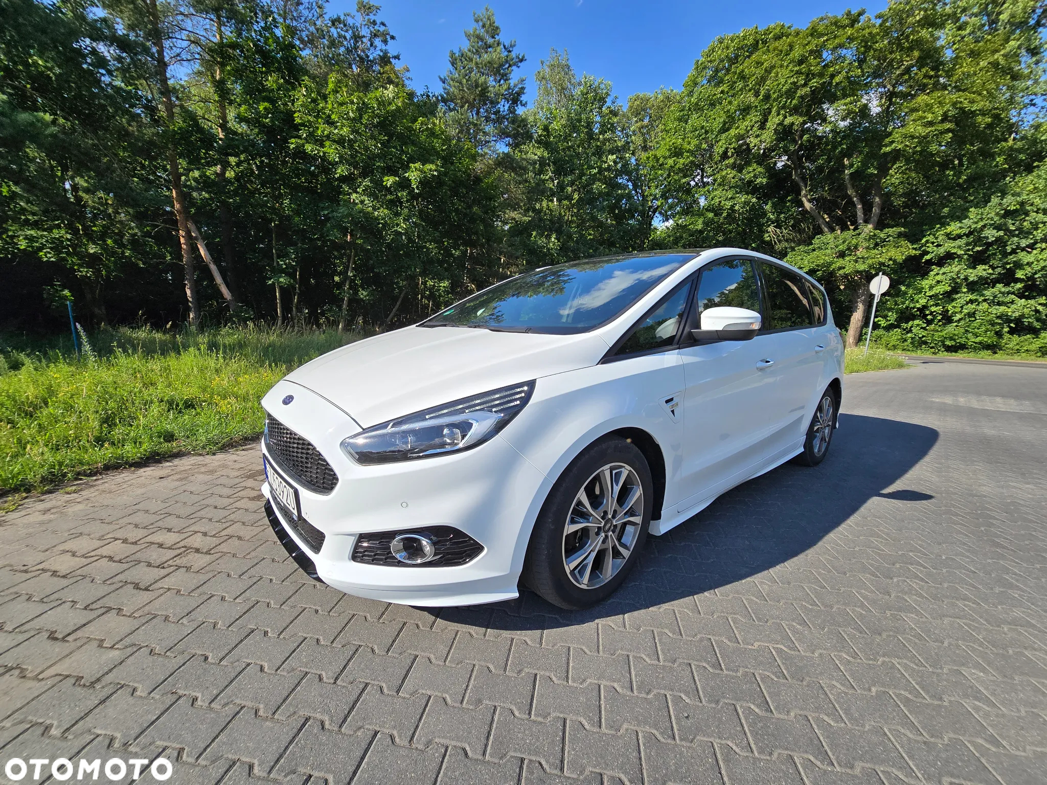 Ford S-Max 2.0 EcoBlue ST-Line - 2