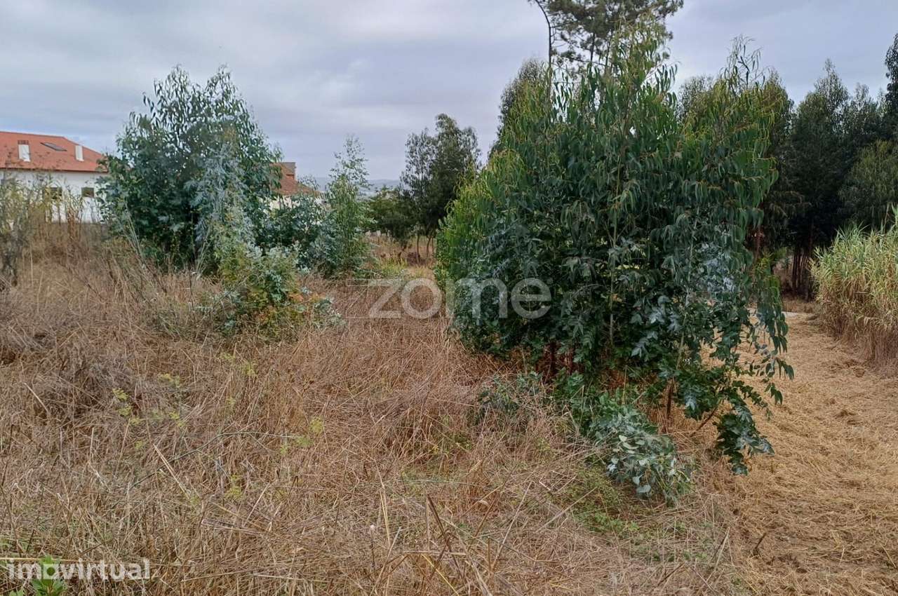 Lote construção|Moradia Lavos| Oportunidade - Grande imagem: 3/19
