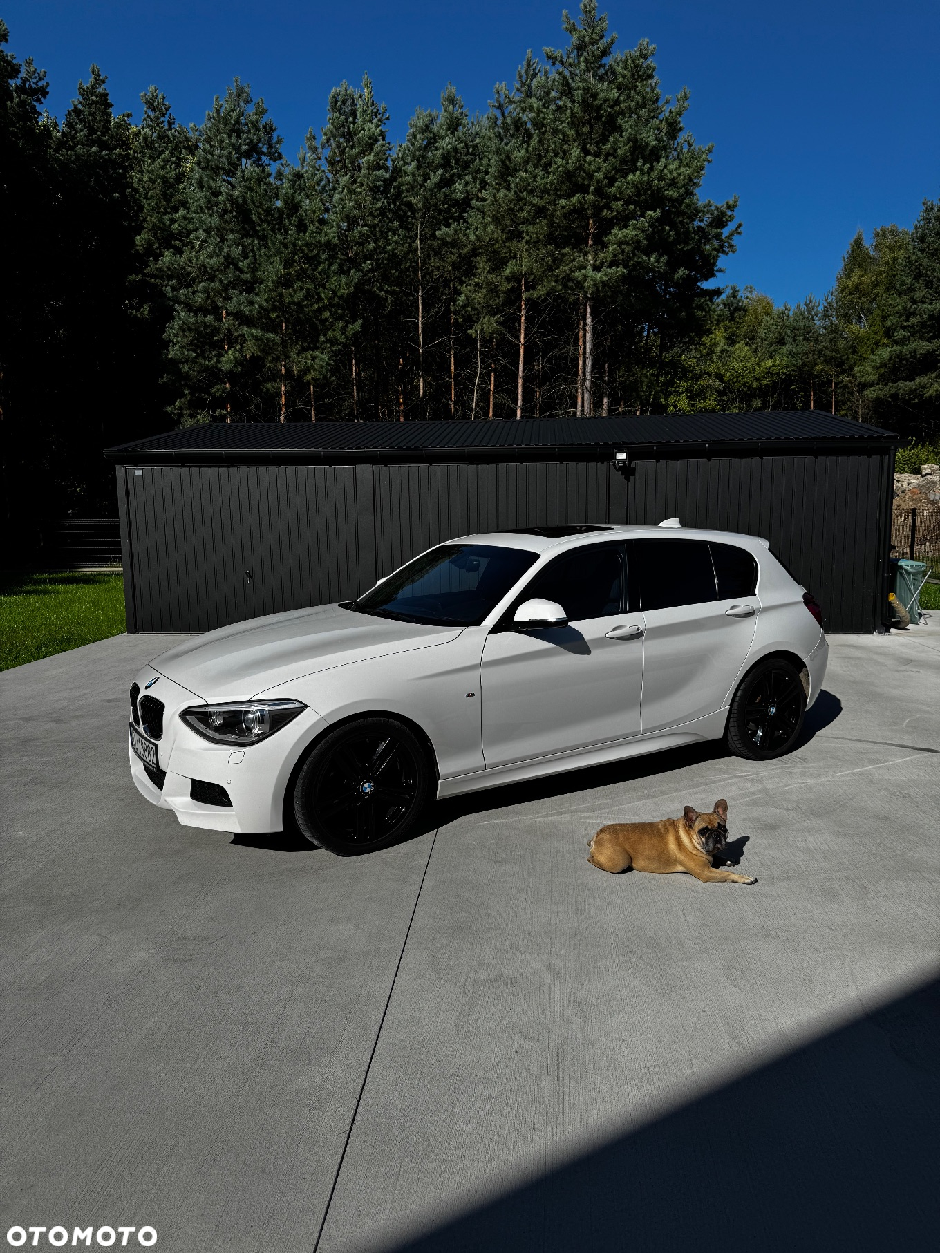BMW Seria 1 120d Sport-Aut BluePerformance Sport Line - 3