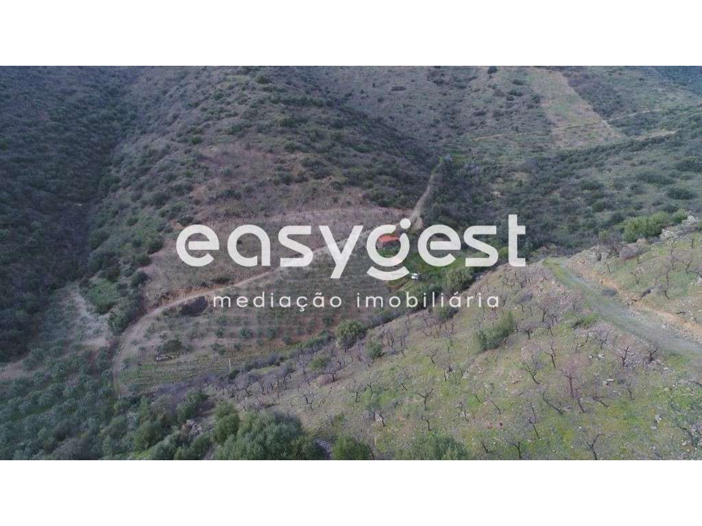 Terreno Agrícola no Alto Douro - Grande imagem: 4/26