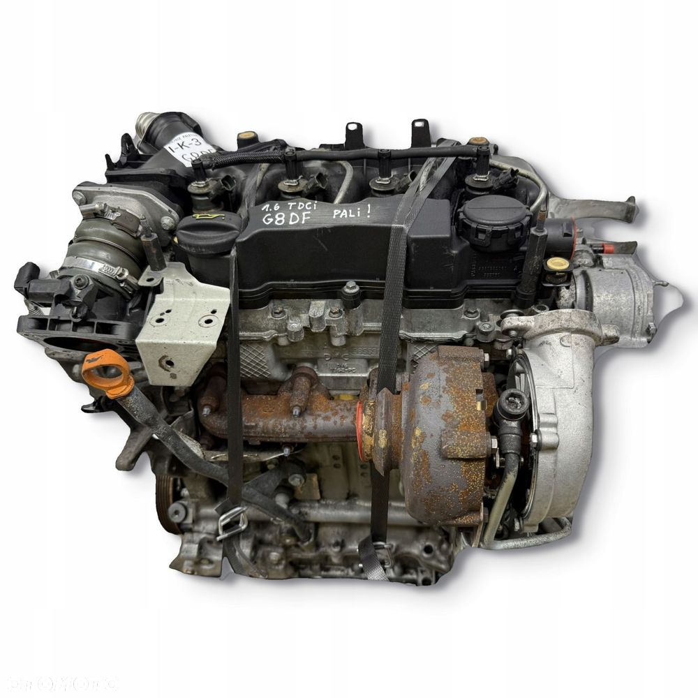 SILNIK G8DF Ford Focus II MK2 C-Max C Max 1.6 TDCI 109KM diesel kompletny - 1