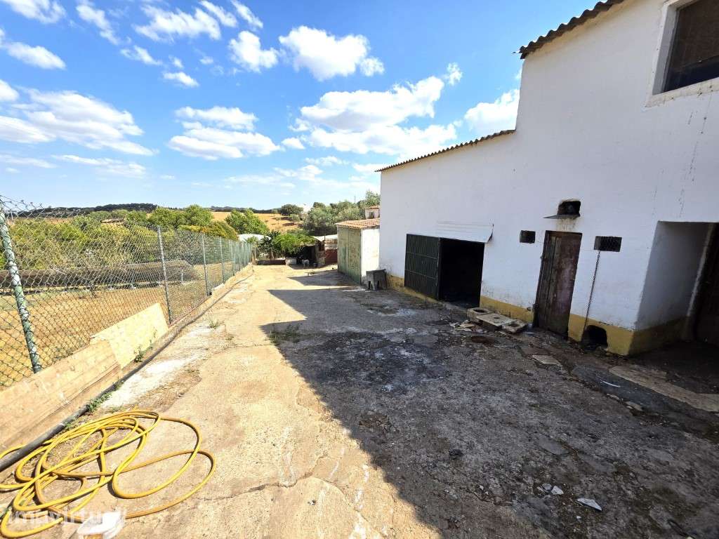 Moradia T3 em Vila Viçosa, com garagem, inserida em lote de 3500 m2 - Grande imagem: 3/29