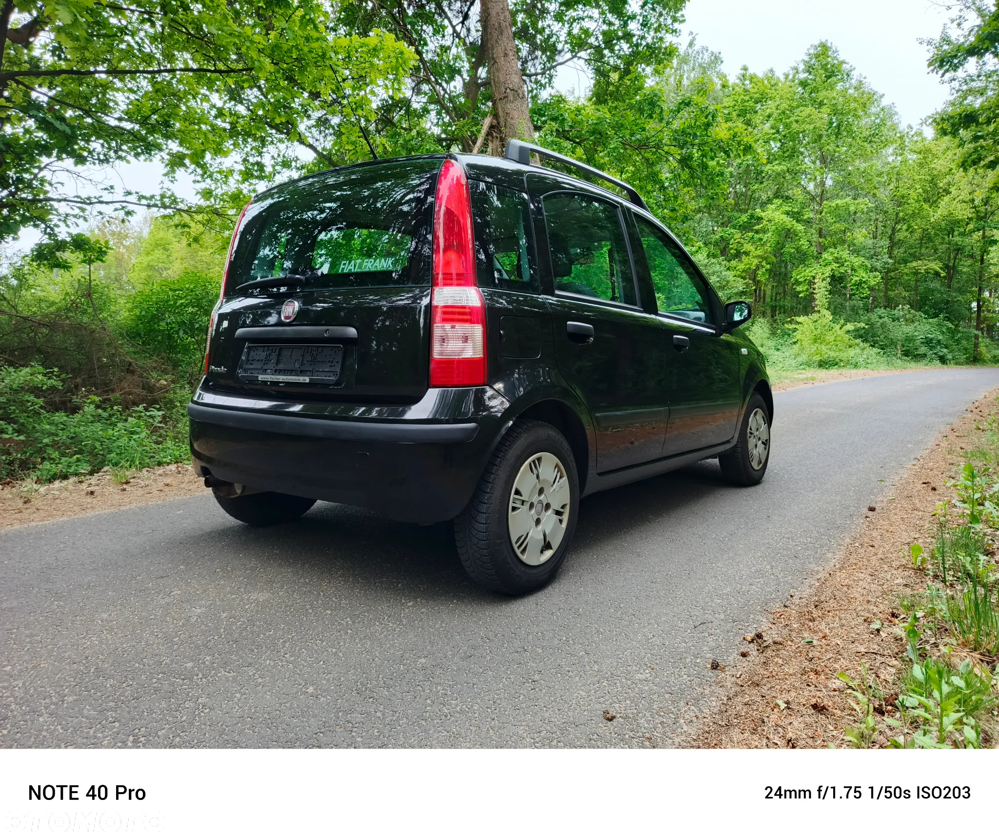 Fiat Panda 1.2 Dynamic Plus - 5