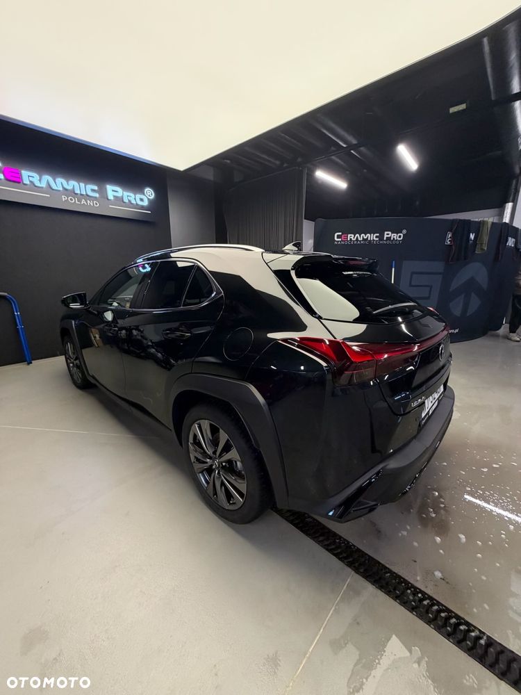Lexus UX 250h F Sport 2WD - 12
