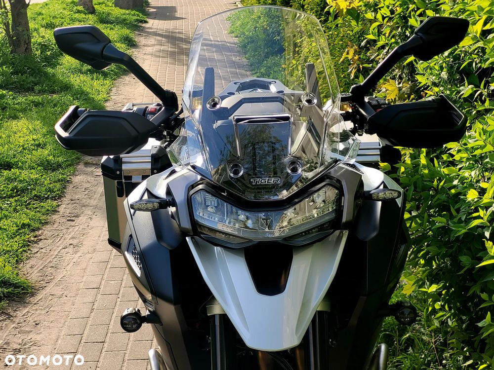 Triumph Tiger - 11