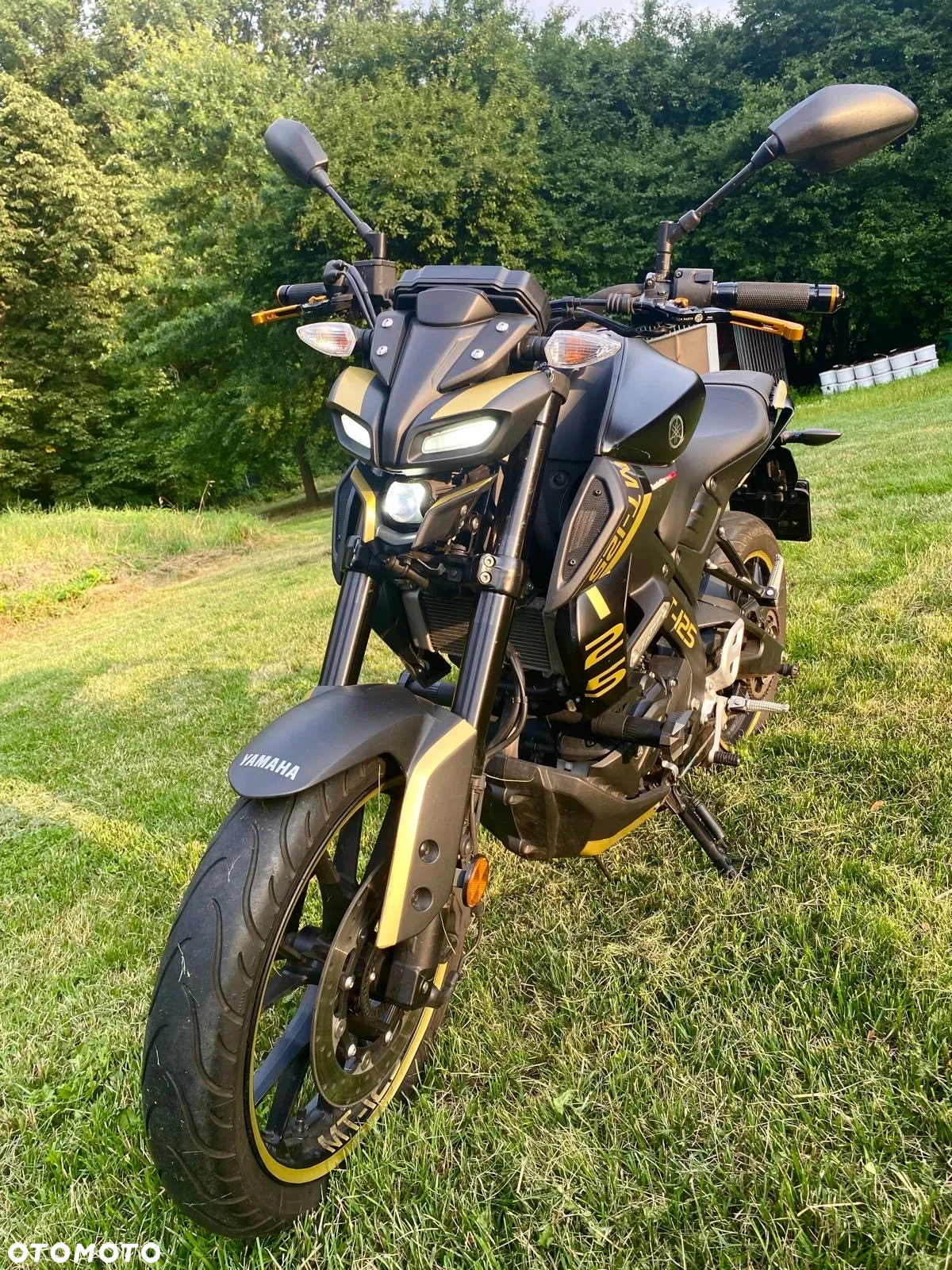 Yamaha MT - 3