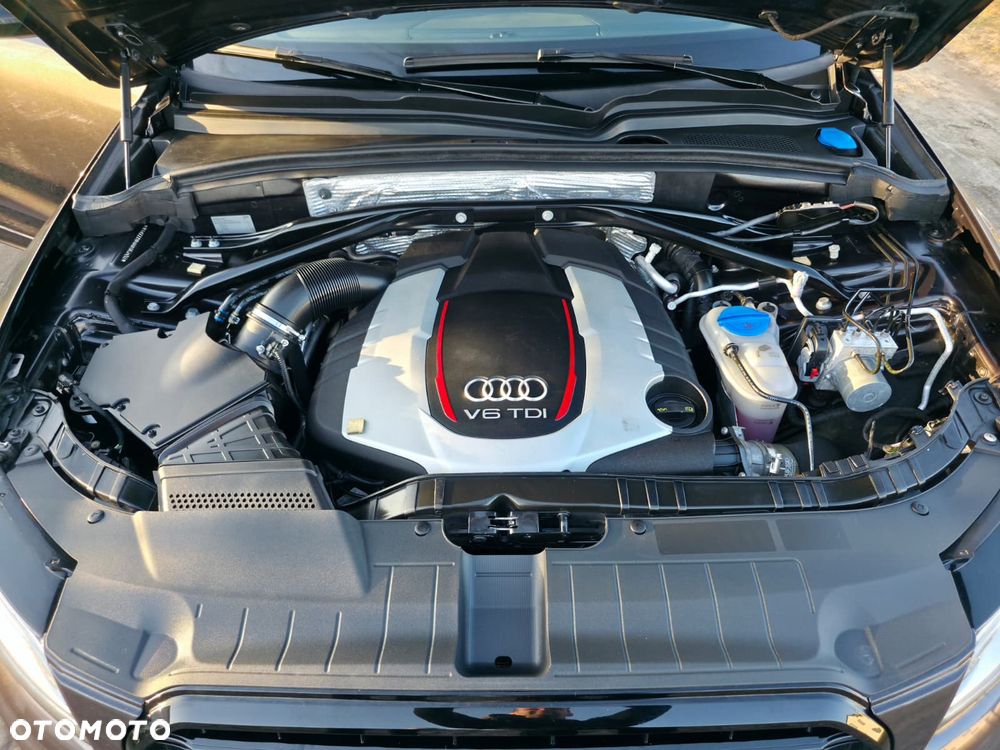 Audi SQ5 3.0 TDI Quattro Competition - 29