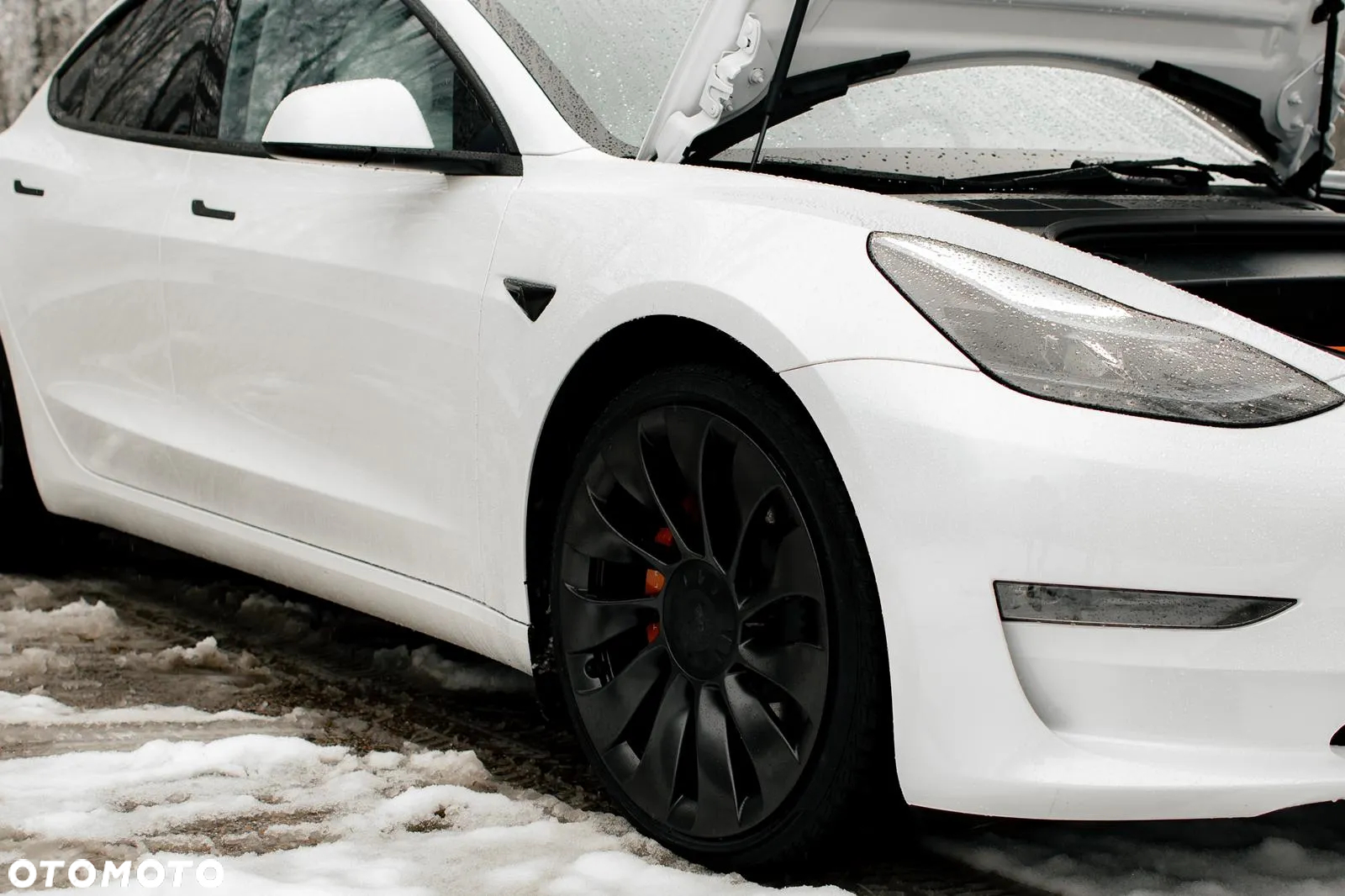 Tesla Model 3 Performance AWD - 17