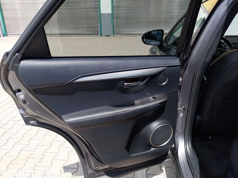 Lexus NX 300h F Sport Edition AWD - 16