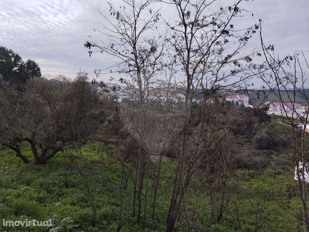 Terreno  para venda - Grande imagem: 3/5