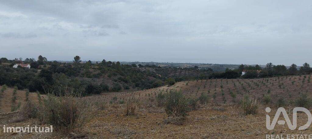 Terreno Agrícola em Romeira e Várzea