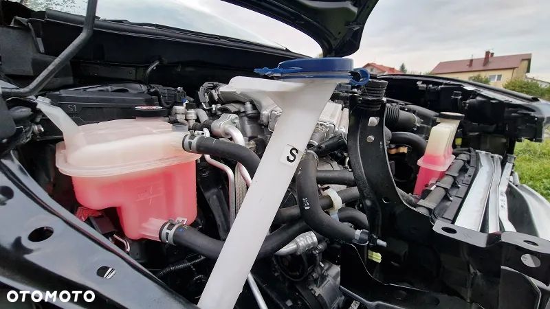 Toyota C-HR 1.2 Turbo Team Deutschland - 15