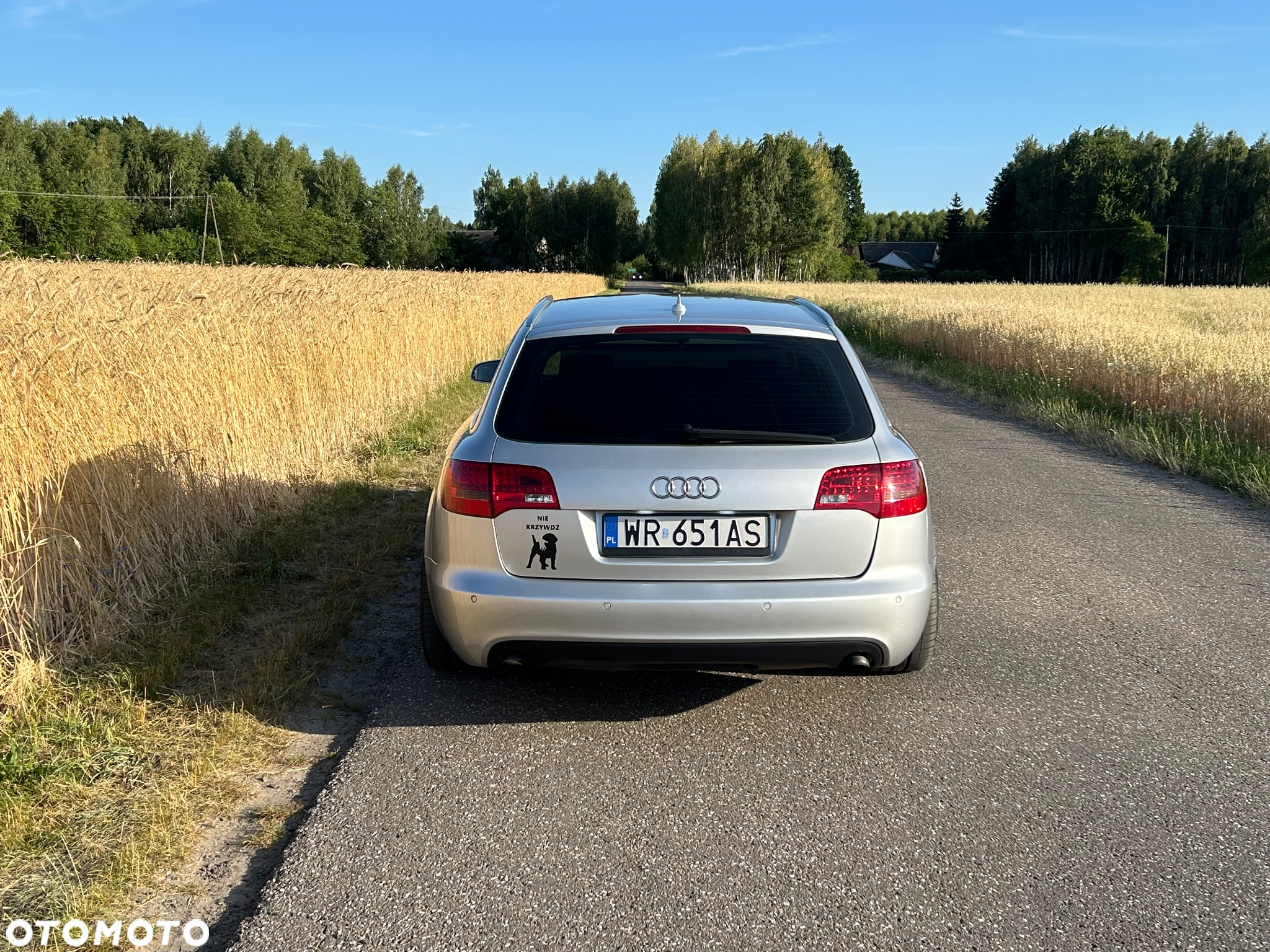 Audi A6 - 5