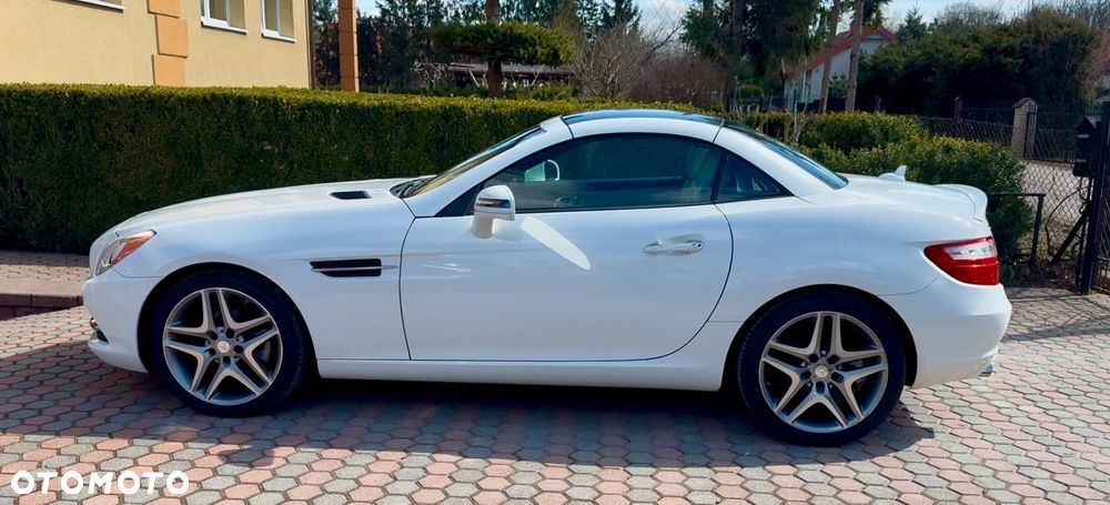 Mercedes-Benz SLK 250 (BlueEFFICIENCY) 7G-TRONIC - 10