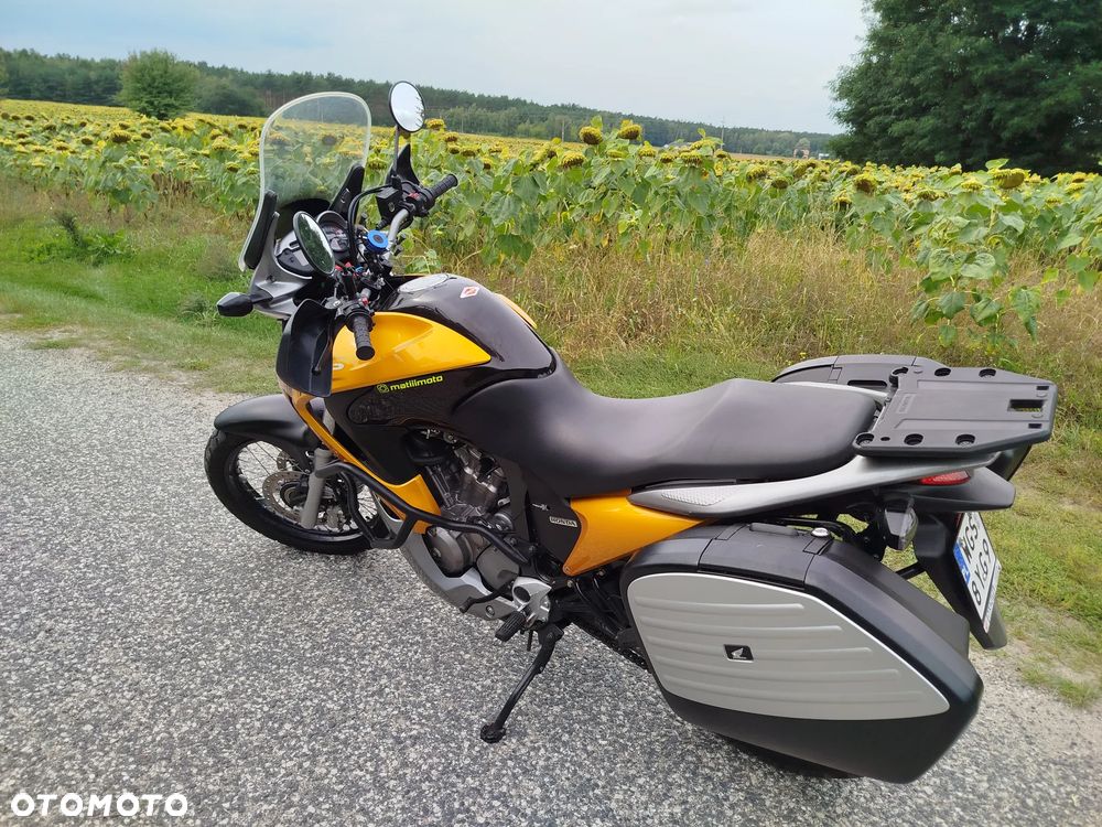 Honda Transalp - 10