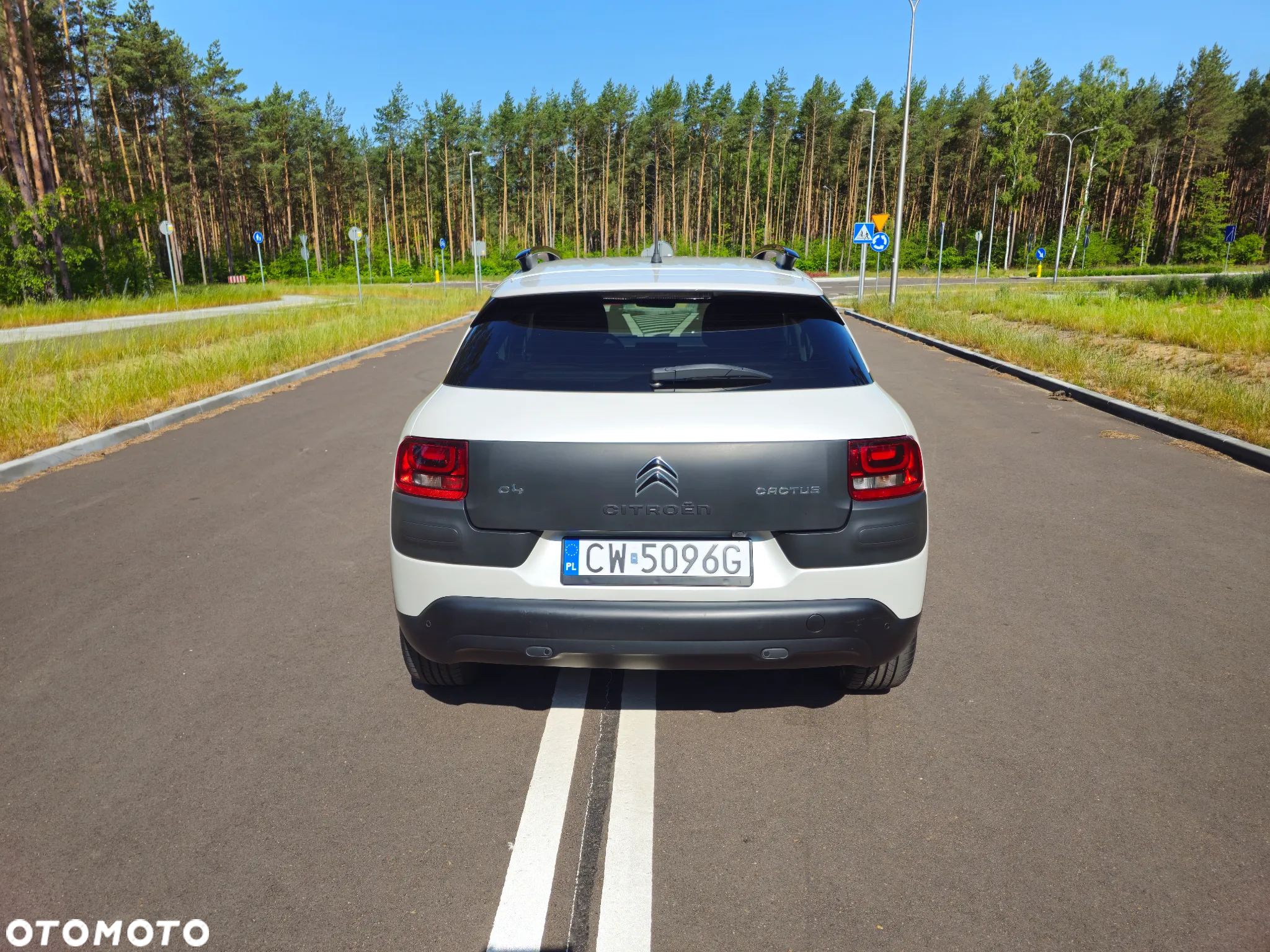 Citroën C4 Cactus 1.6 BlueHDi Shine - 6