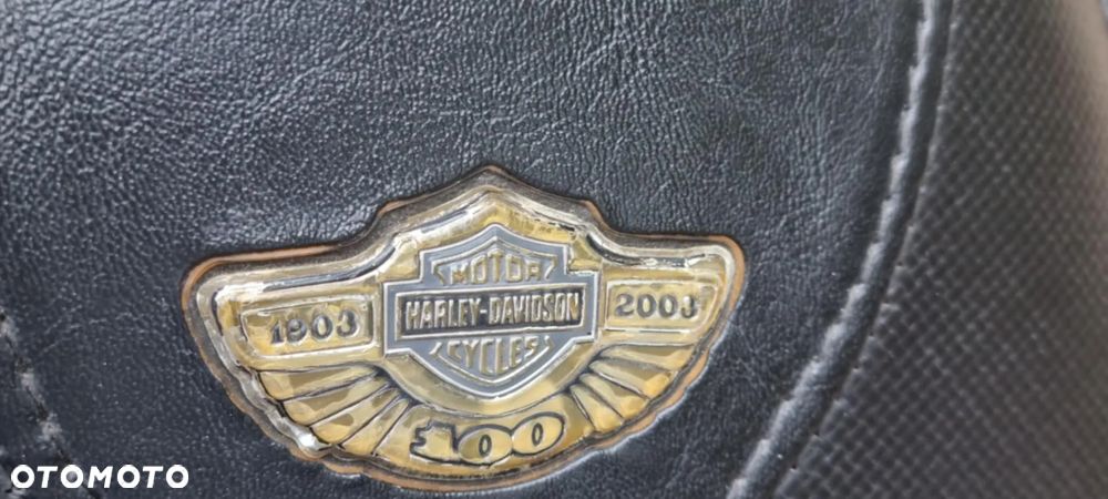 Harley-Davidson V-Rod Street Rod - 15