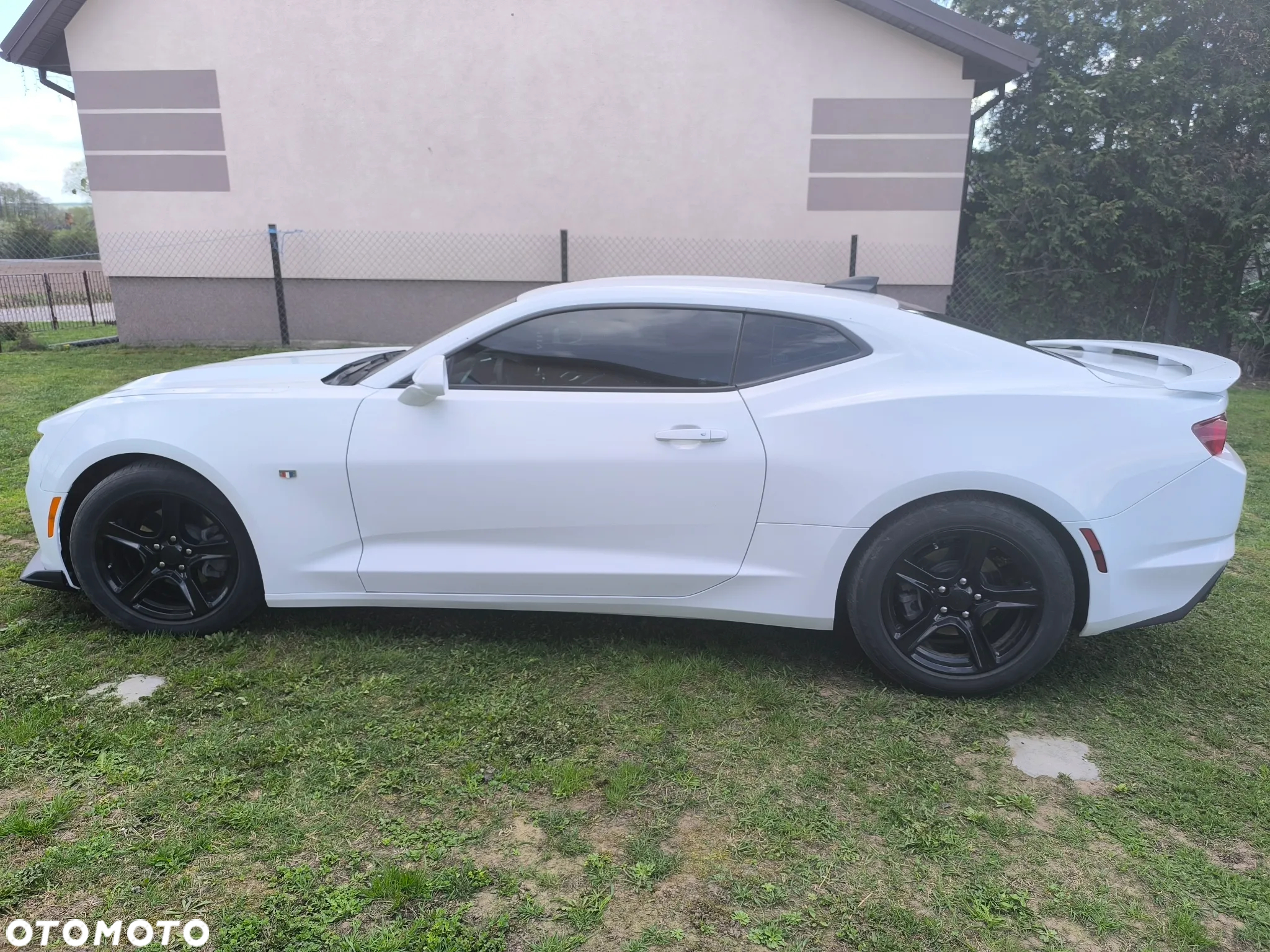 Chevrolet Camaro - 2