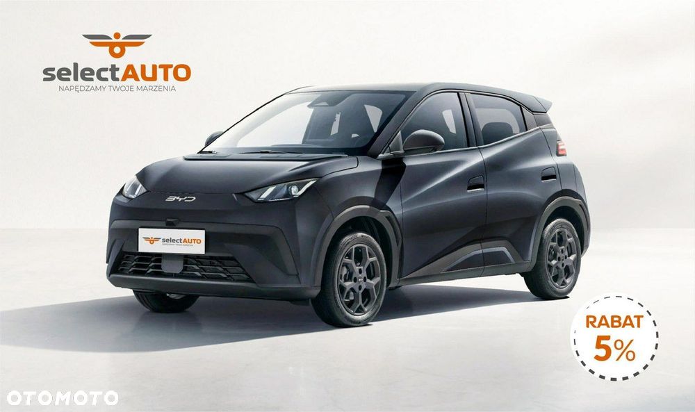 BYD Dolphin Surf - 1