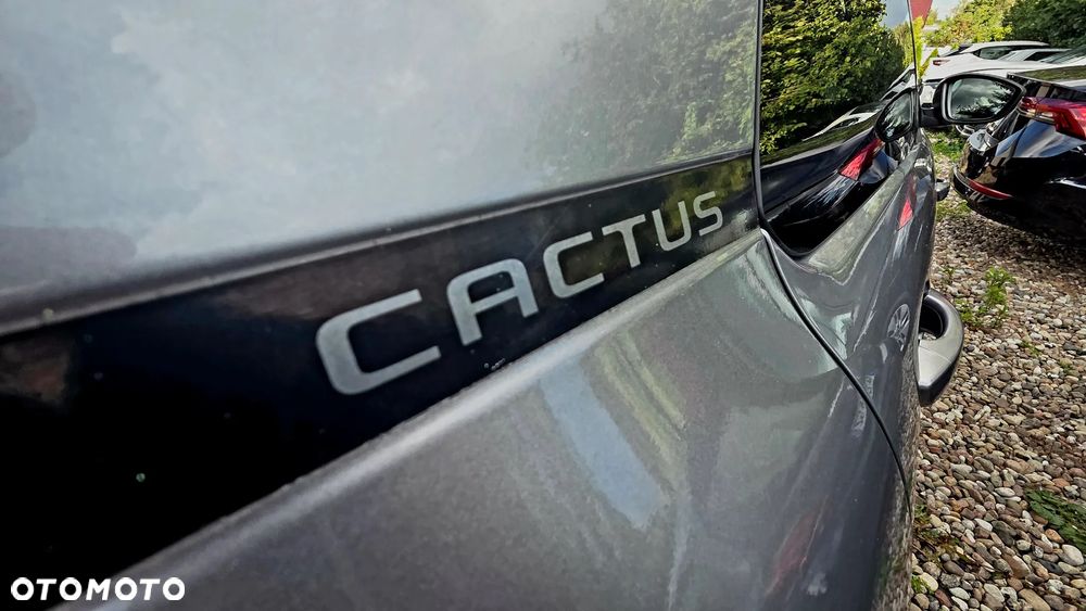 Citroën C4 Cactus BlueHDi 120 Stop&Start EAT6 Origins - 12