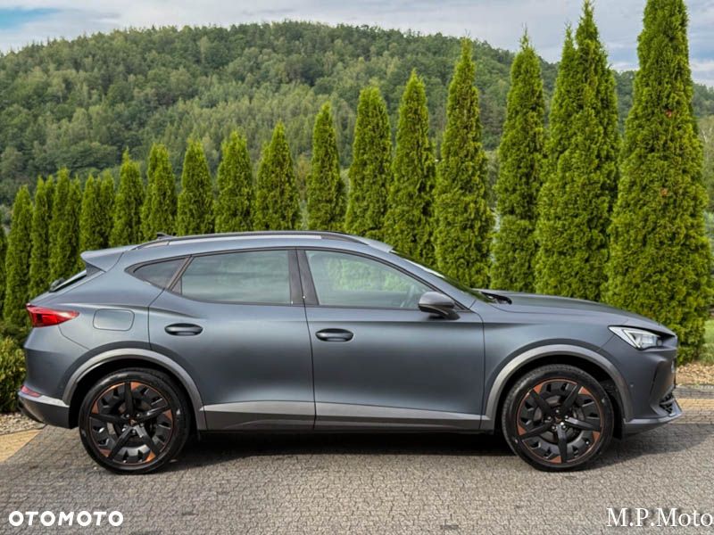 Cupra Formentor 2.0 TDI 4Drive DSG - 22