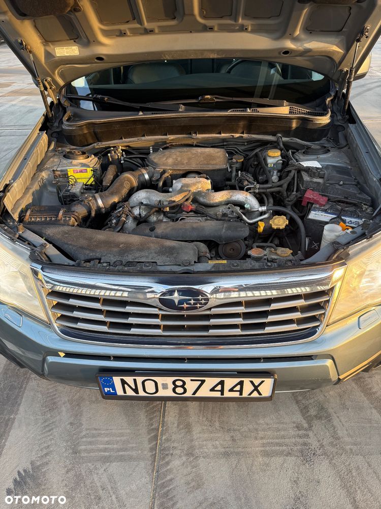 Subaru Forester - 25