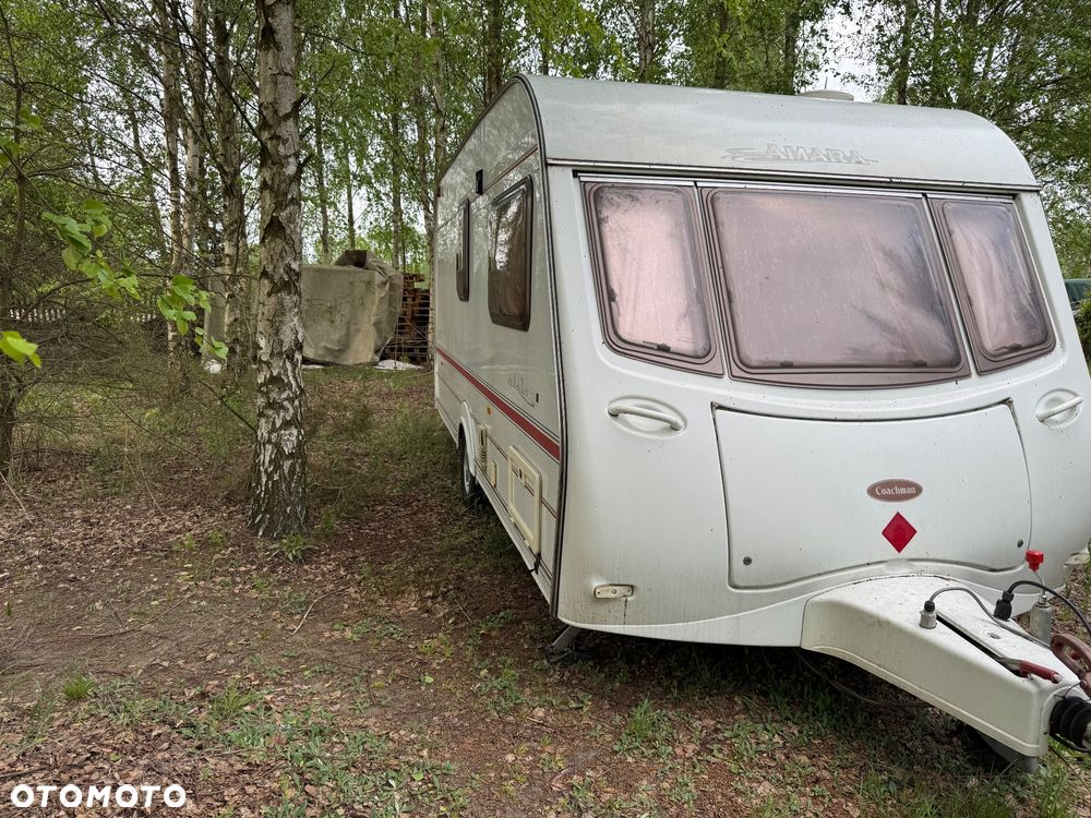 Coachman Amara - 4