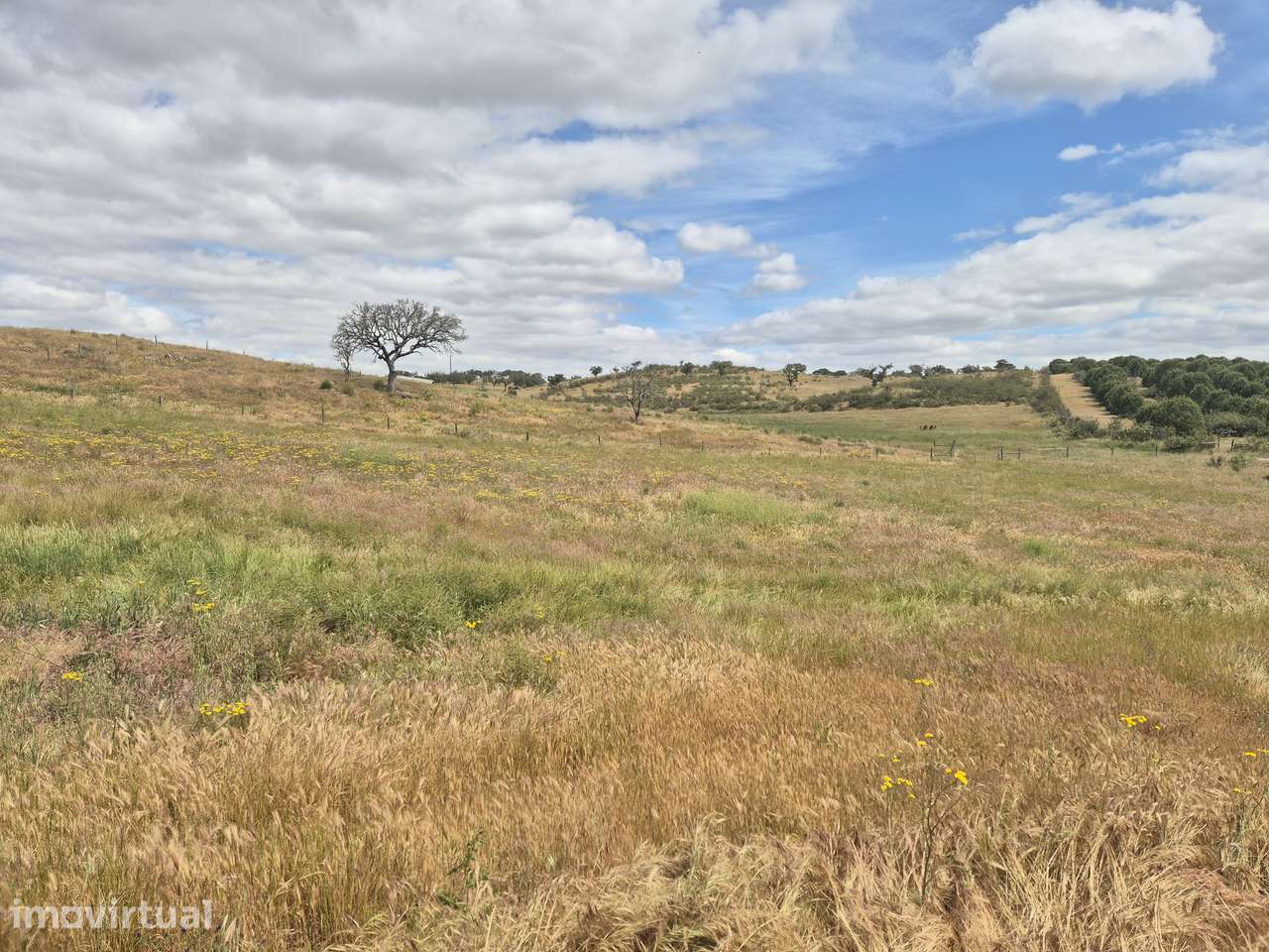 Monte Alentejano com casas a 5km da Aldeia dos Fernandes - Grande imagem: 2/16