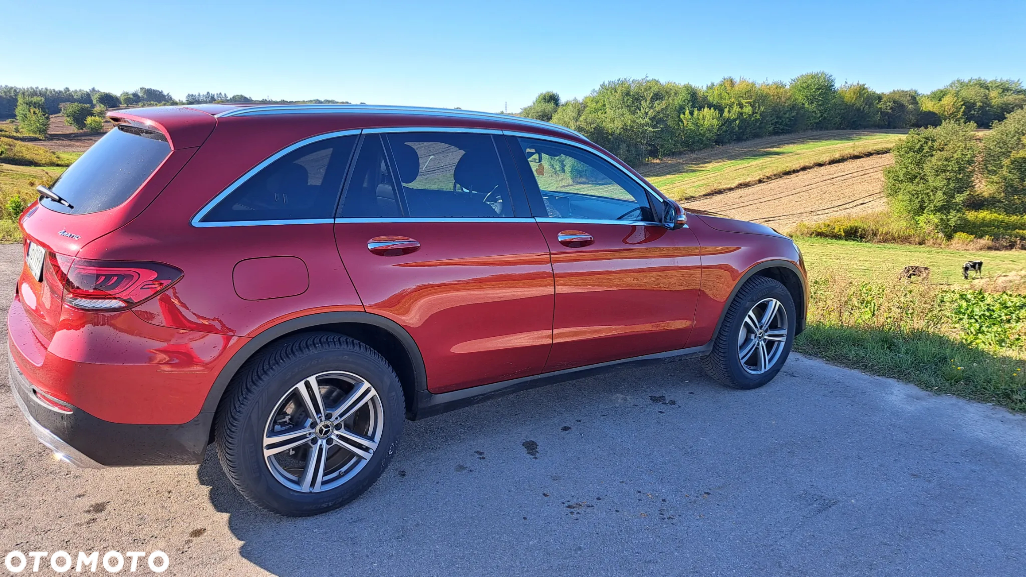 Mercedes-Benz GLC 300 4Matic 9G-TRONIC - 16