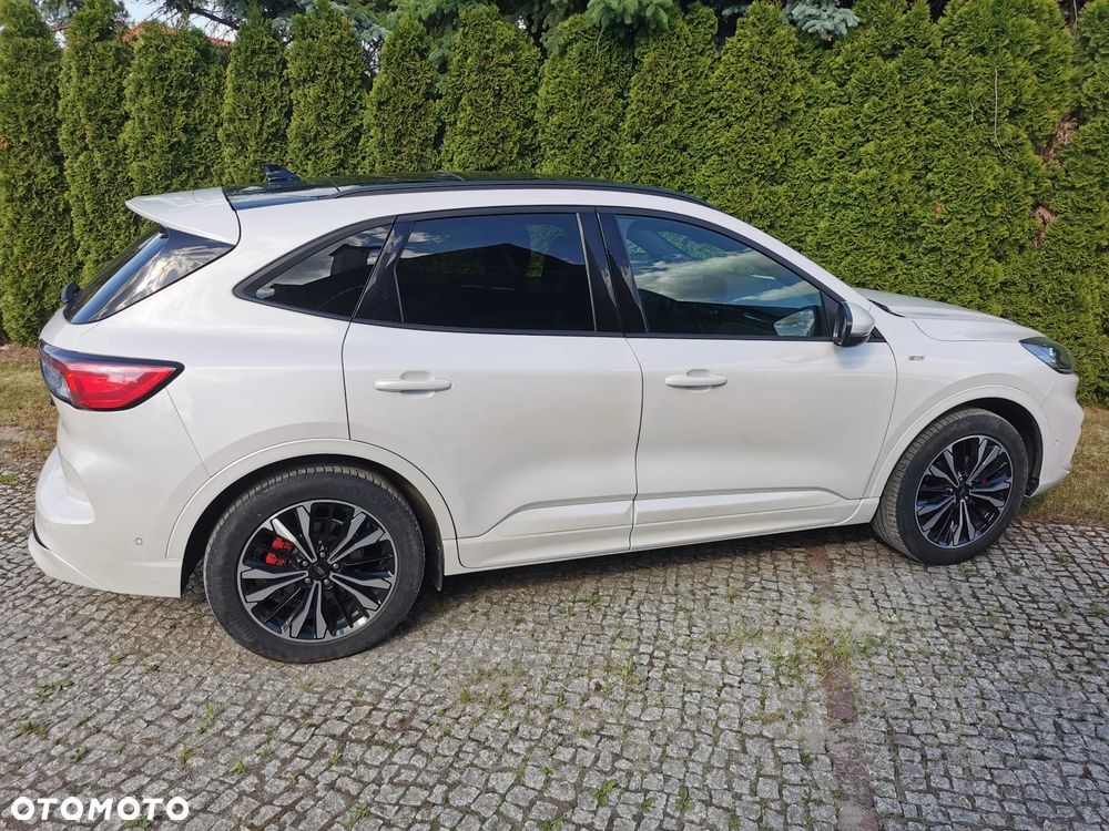 Ford Kuga 2.0 EcoBlue AWD ST-Line X - 3