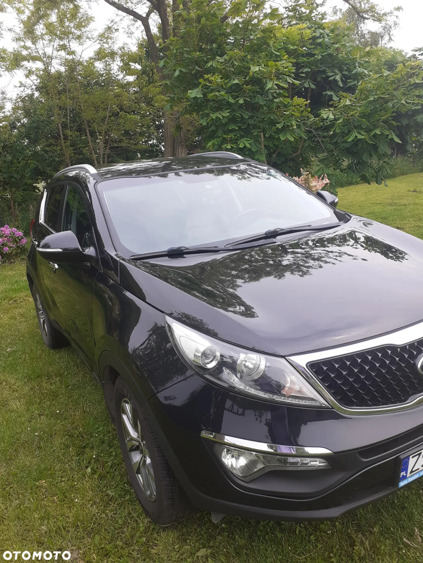 Kia Sportage - 25