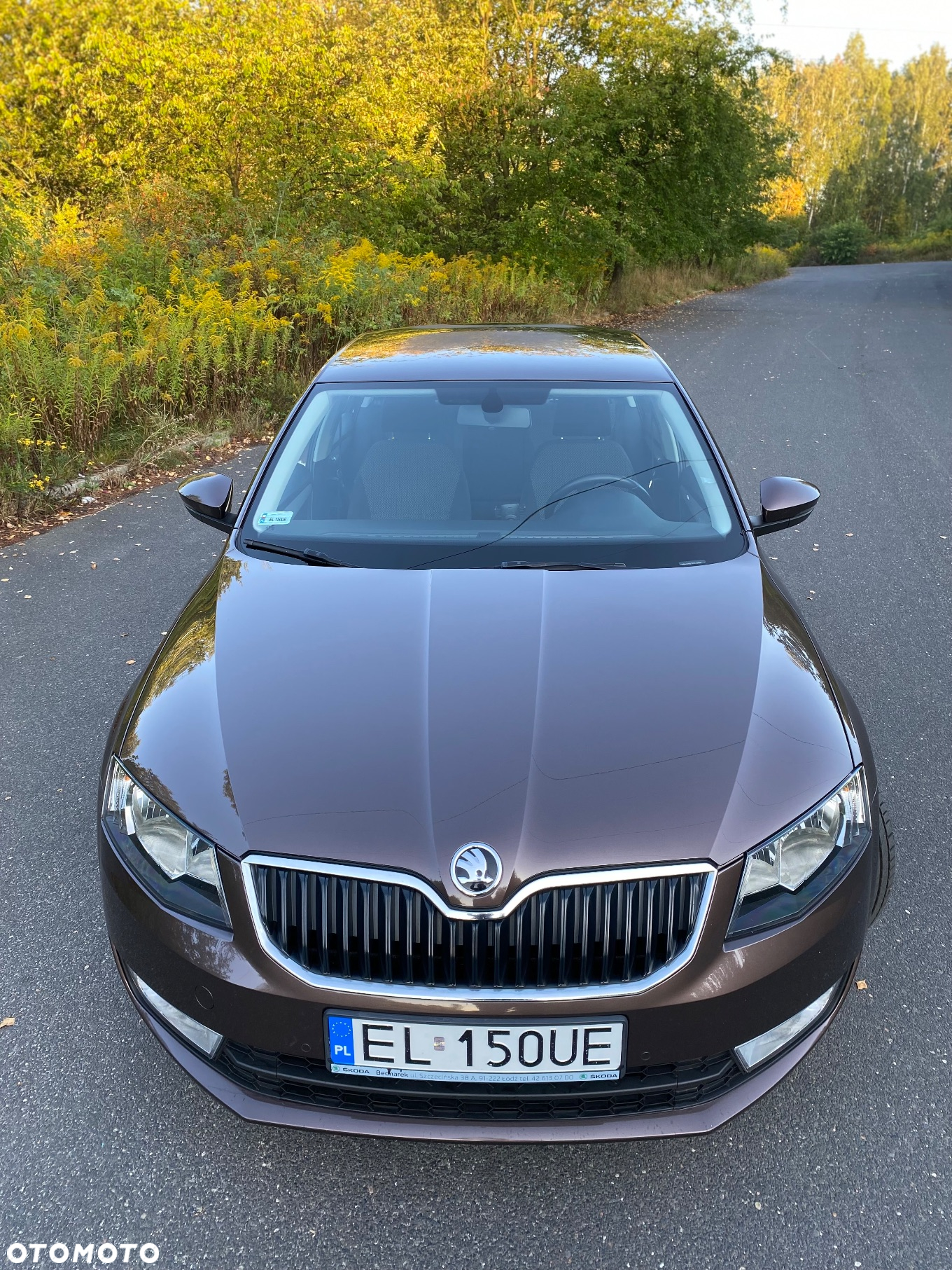 Skoda Octavia 1.4 TSI Ambition - 10