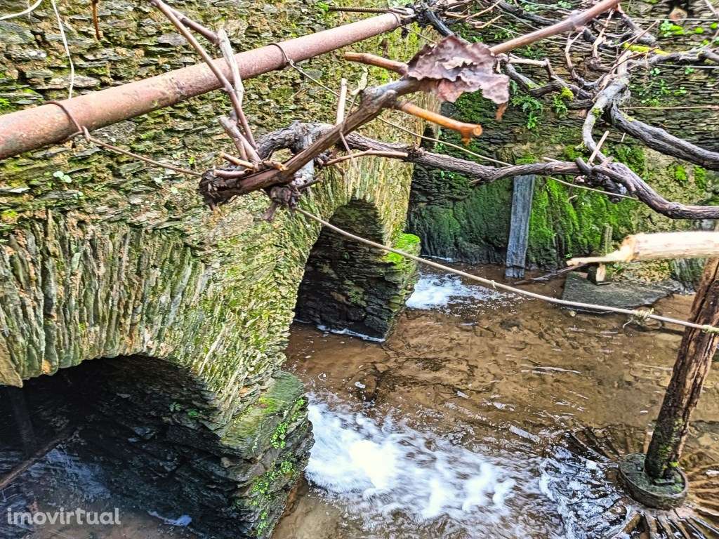 Espetacular moinho de água para venda em Angeja - Grande imagem: 3/44