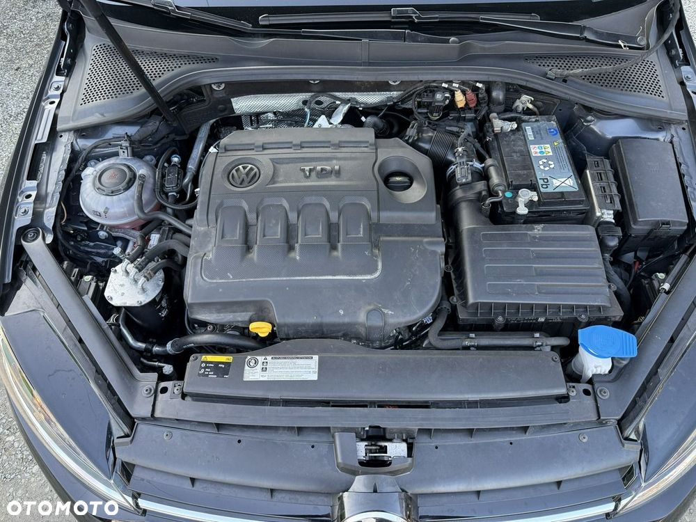 Volkswagen Golf - 31