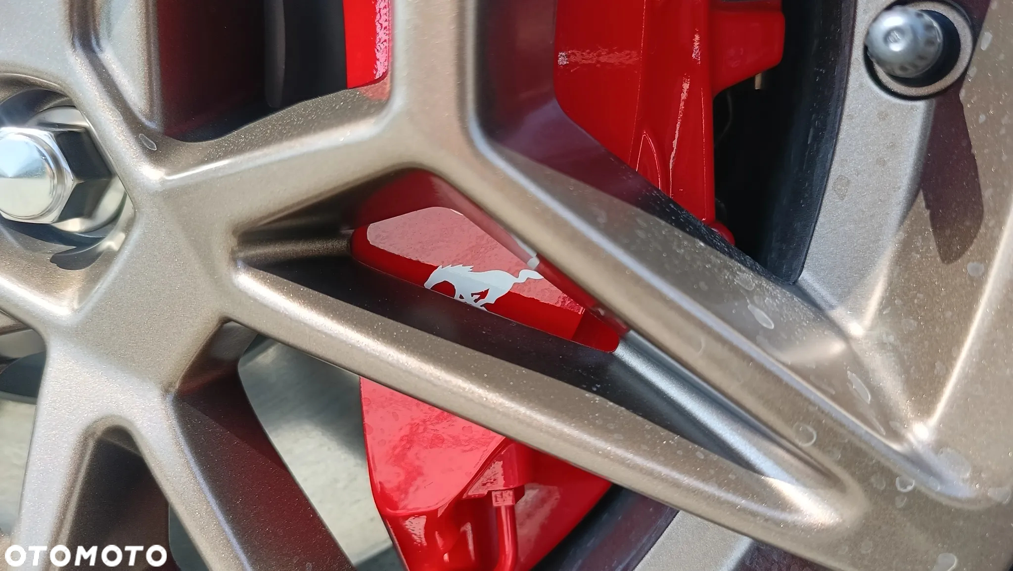 Ford Mustang 5.0 Ti-VCT V8 GT - 33