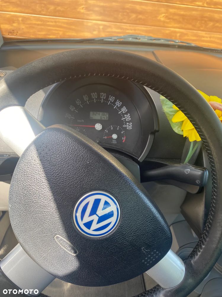Volkswagen New Beetle - 13