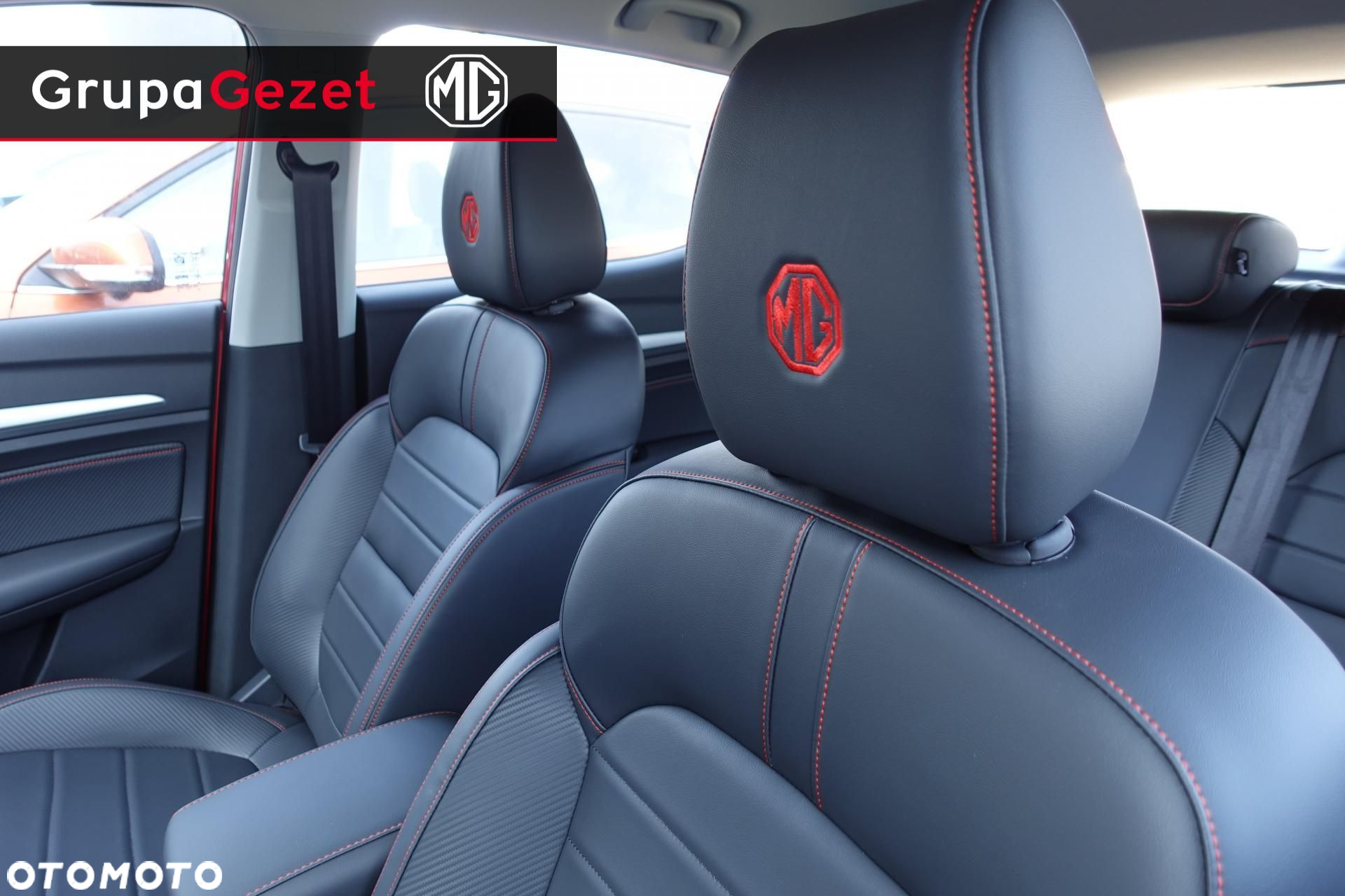 MG ZS - 10